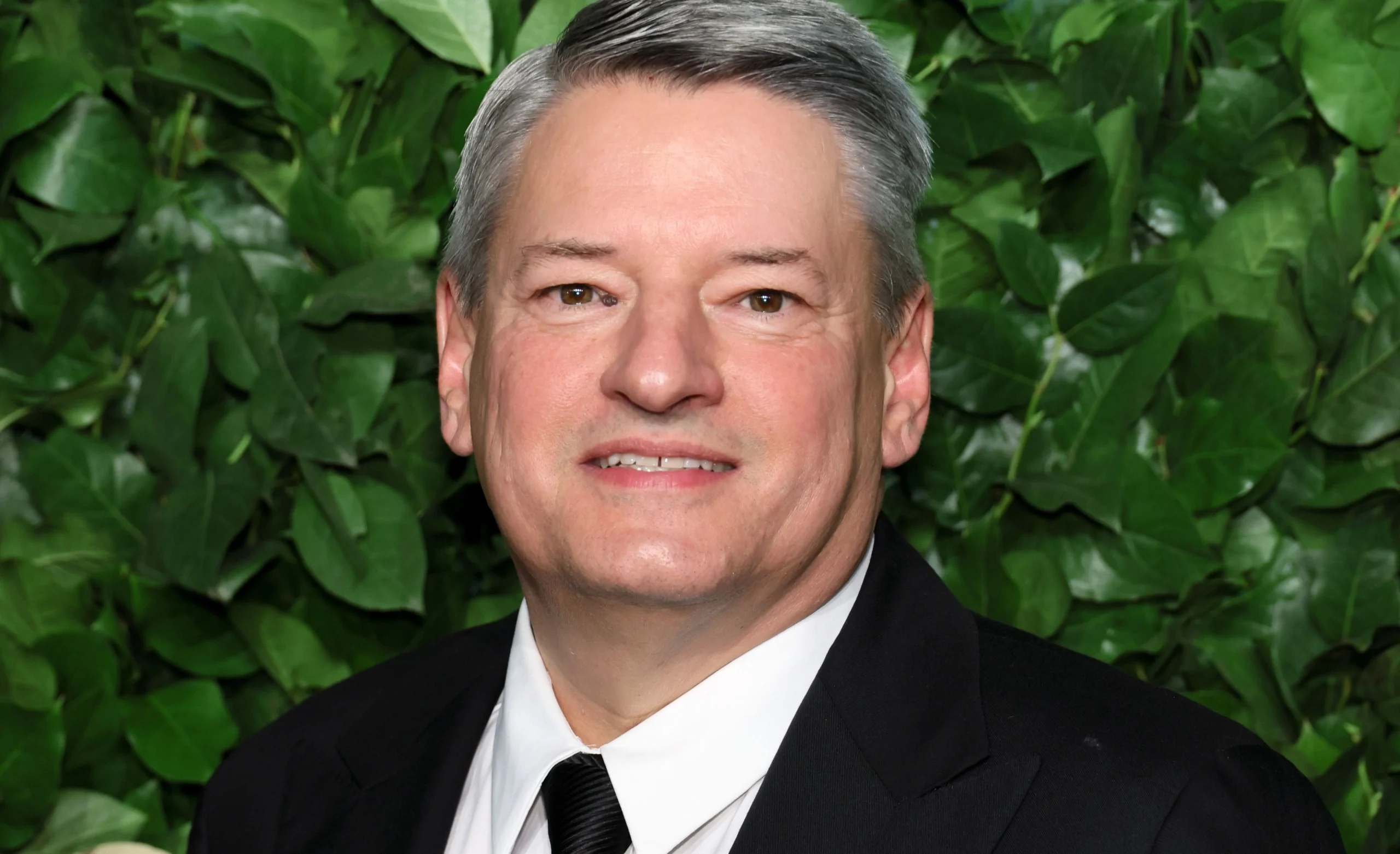 Read more about the article Ted Sarandos Net Worth The Business Mind Fueling Your Binge Watching Habit