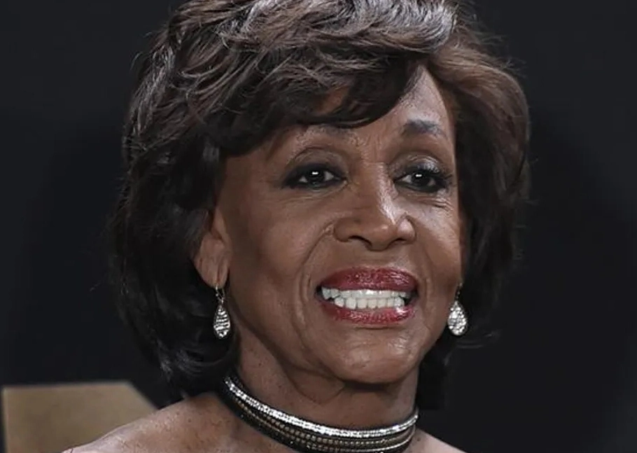 Read more about the article Maxine Waters Net Worth 2025 How the Veteran Congresswoman Built Her Wealth